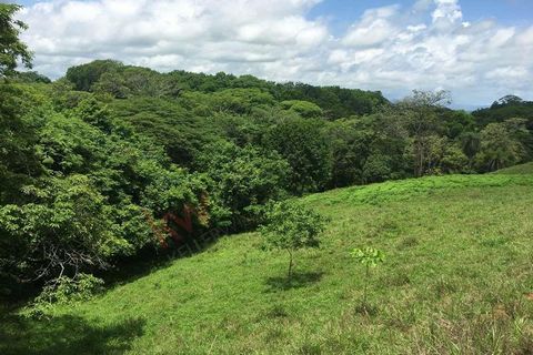 Located 2 miles away from Esparza down town and 4 miles from Caldera Port, it has irregular topography of plains and hillsides, improved pastures for livestock, timber trees, a stream with water all year round and confirmed sites for drilling wells. ...