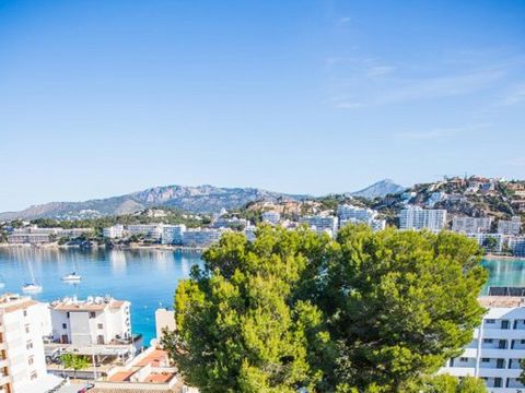 The Mallorca Portofino residence is located on the western part of the island, in Santa Ponsa, just a 5-minute walk from the beach. Ideal for a successful family holiday. The residence offers functional apartments, suitable for 4 to 8 people, some wi...