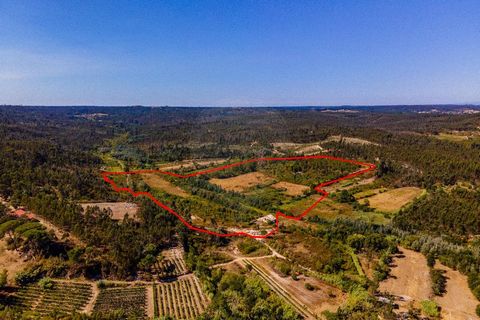 Farm with 14ha in São Silvestre - Coimbra Farm with 14 hectares in the village of São Silvestre, a few minutes from Coimbra. Space composed of various types of terrain. Forest with eucalyptus and pine plantations. Agricultural land, at the moment wit...