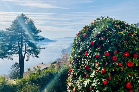 Esta casa romántica en Monte Carza, cerca del lago Maggiore, tiene un hermoso techo con vigas y muebles antiguos. El jardín llano rodeado de vegetación ofrece una vista impresionante del lago. Ideal para vacaciones en familia. En la región encontrará...