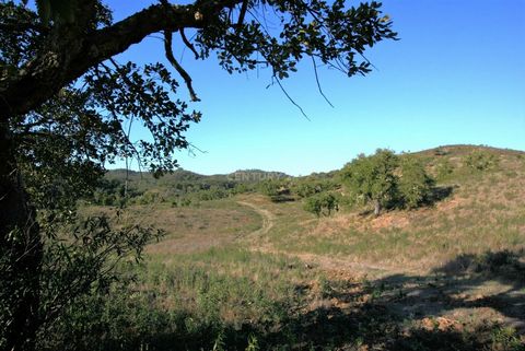 On this extensive plot of 17,7 HA in the middle of nature and reachable by a tarmac road, you can do it all: build your home up to a maximum of 500 m2 and start your own business, guaranteeing income from the booming tourism in the Algarve. The curre...