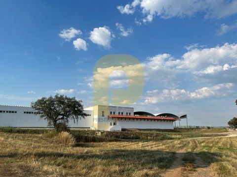 Herdade da Farizoa e Gaião is an agricultural property located in the area of Terrugem, located in the municipality of Elvas, near the city of Elvas and Badajoz. With a total extension of 157,315 hectares, it is a prominent property in the Alentejo r...