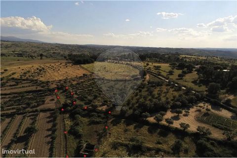A small farm with 1,424 m2 of land and with a ruin of a straw with 27 m2 exterior only to be legalized and only authorize the reconstruction of the existing one and not housing since it does not have space for it, , flat land with 2 water wells, Good...