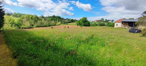 Exceptional opportunity! Building land of 3685 m² in Baigts-de-Béarn (64300) Are you looking for the perfect place to make your construction project a reality? Look no further! We offer you a building plot of 3685 m², ideally located in Baigts-de-Béa...