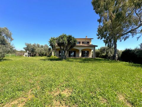 In der Landschaft von Tarquinia und genau in der Località le Cavalline bieten wir eine 195 m² große Einfamilienvilla mit privatem Garten und 2,5 Hektar Land zum Verkauf an. Das Anwesen liegt mitten in der Natur, umgeben von Vegetation und kultivierte...