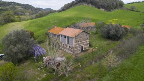In Tuscania, and precisely in Montebello, we offer for sale a stone farmhouse of approximately 200 m2, with outbuildings, sheds, warehouses and land of approximately 23 hectares. Located in the splendid countryside of Maremma Laziale, this stone buil...