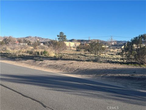 Land for sale near 29 Palms Hwy. Great Commercial Investment area. Shops, Cafe and Stores nearby. Research your options. zoning is M3, Lot size is a little over 1 acre.