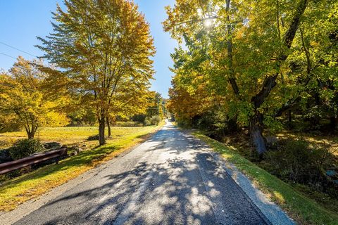 Private and peaceful. This property totals 265.17 acres and is comprised of five lots. With approximately a half mile of road frontage on both sides of Skiba Road, one could create a compound or develop lots with views to the Catskill Mountains and s...