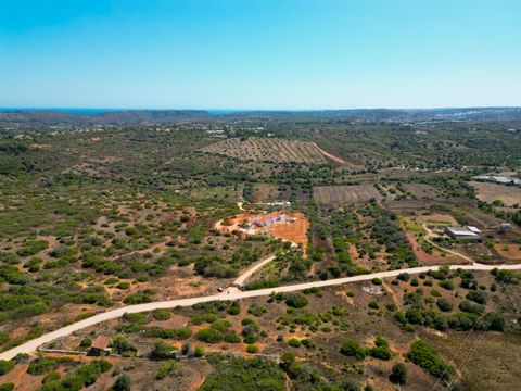 Deal Homes presents, Rustic land with 35.200m2, located near the village of Barão de S. Miguel. Access to the land is by road. The land contains some fruit trees. It is excellent to acquire your land for cultivation and some works that you may want t...
