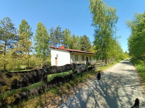 Detached brick house (building) 70 m2 on a partially fenced plot of 4200 m2 in a quiet area away from neighbors in Gródek, Policzna commune, Kozienice district. House: -usable area 70 m 2. - on a rectangular plot with area of 4200 m2. Dimensions: Ava...
