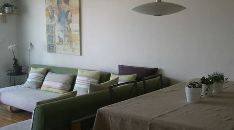 photo no. 19