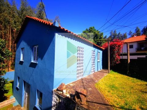 Haus zum Verkauf in Queijada, in einer privilegierten Gegend in der Nähe von Ponte de Lima und auf dem Weg nach Braga. Diese zweistöckige Villa bietet eine gemütliche und ruhige Atmosphäre, ideal für diejenigen, die einen dauerhaften Wohnsitz oder ei...