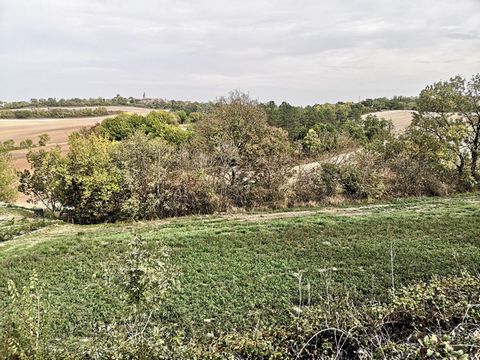 Situé à Labastide-Gabausse (81400), ce terrain de 4750 m² bénéficie d'un emplacement privilégié offrant un cadre paisible et authentique. Labastide-Gabausse, charmant village du Tarn, se distingue par son atmosphère conviviale et sa proximité avec la...