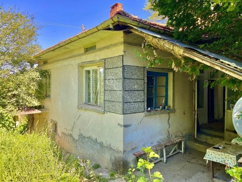 Imoti Tarnovgrad vi offre una casa nel villaggio di Nikolaevo, che si trova a 10 km dalla città di Veliko Tarnovo. Strazhitsa e a 35 km dalla città di Strazhitsa. Veliko Tarnovo. L'immobile si trova su un piano seminterrato, e la parte residenziale è...