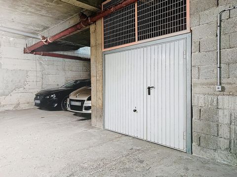 photo no. 6