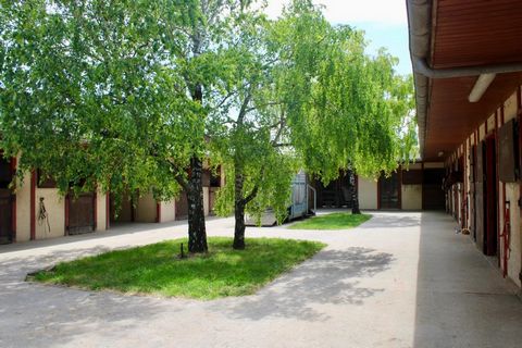 photo no. 3