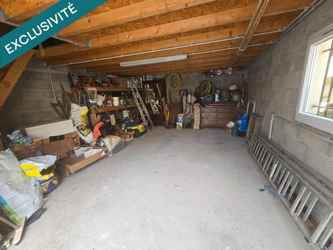 photo no. 10
