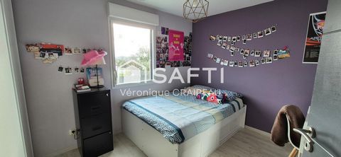 photo no. 11