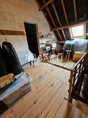 photo no. 10