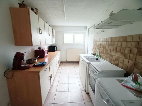 photo no. 2