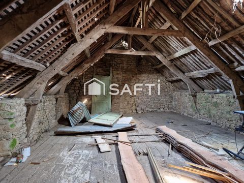 photo no. 11