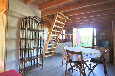 photo no. 12