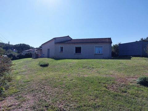 photo no. 2