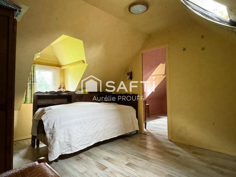 photo no. 8