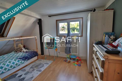 photo no. 12