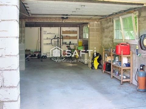 photo no. 10