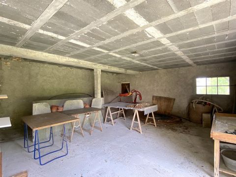 photo no. 13