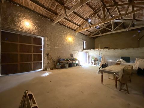 photo no. 14