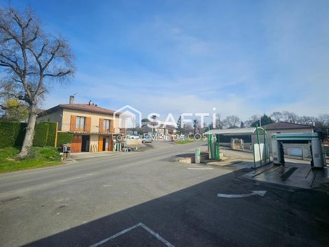 photo no. 12