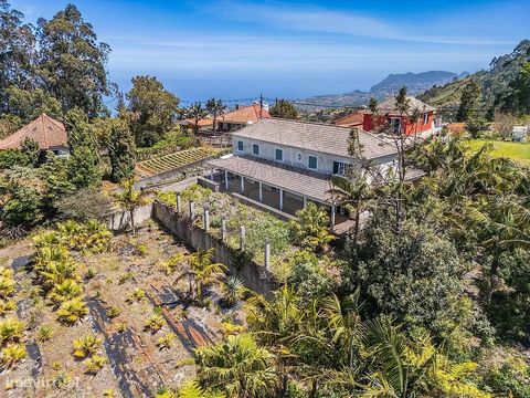 Moradia T6 + Terreno para venda em são Jorge ,concelho de Santana. .Terreno com 6310m2. .Com moradia de seis assoalhadas,para recuperar. .Bons acessos. .Pode fazer desta a sua moradia,com espaços verdes . .Um empreendimento turistico.