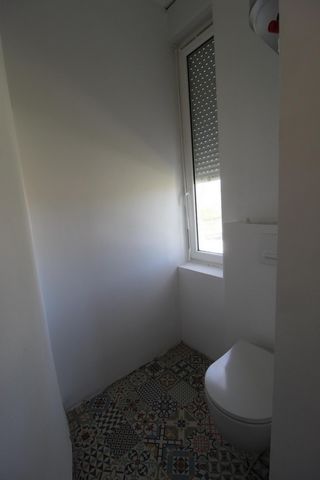 photo no. 4