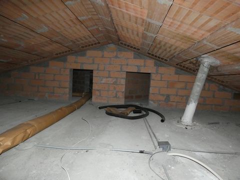 photo no. 12