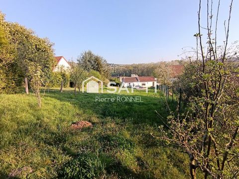 photo no. 2