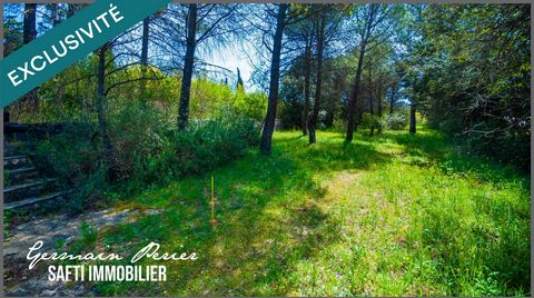 Terrain plat + une restanque de 1200 m2 - environnement calme - emprise au sol possible de 230 m2 - piscinable