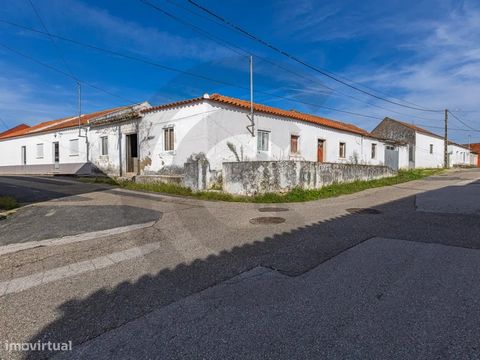 Venha desfrutar do melhor que o Ribatejo tem para oferecer. Moradia a cerca de 15 min de Santarém, inserida num terreno a 841.50 m2. Tem no total de 244.65 m2 de construção, onde incluem a parte de habitação com 96 m2 , nos anexos contamos com adega,...