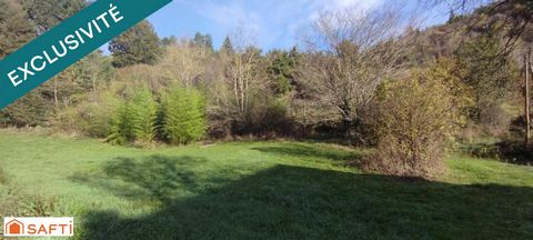 photo no. 13