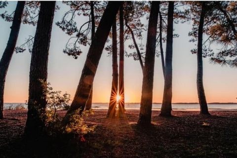 Ce studio confortable pour quatre personnes est situé dans la résidence 3 étoiles Les Balcons de l'Océan. Il se trouve à environ 400 m du centre de la station balnéaire de Biscarosse-Plage et à seulement 150 m de la belle et longue plage de sable. Le...
