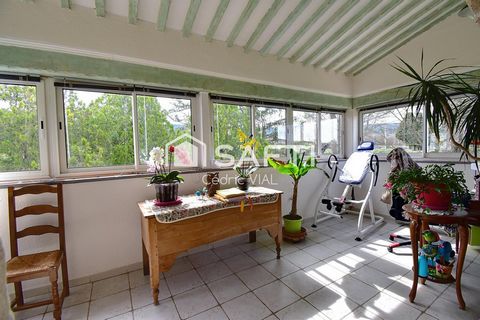 photo no. 4