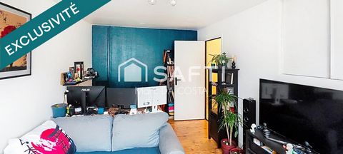 photo no. 11