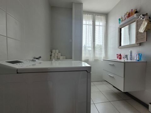 photo no. 8