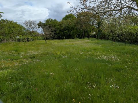 photo no. 4