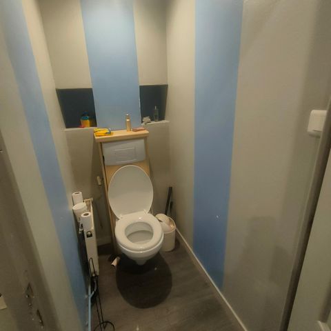 photo no. 5