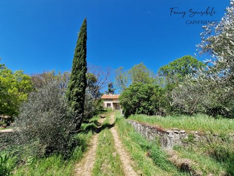 RARE À LA VENTE PROPRIÉTÉ DE 18 HECTARES EN ZONE AGRICOLE PLAN-DAUPS-SAINTE-BAUME