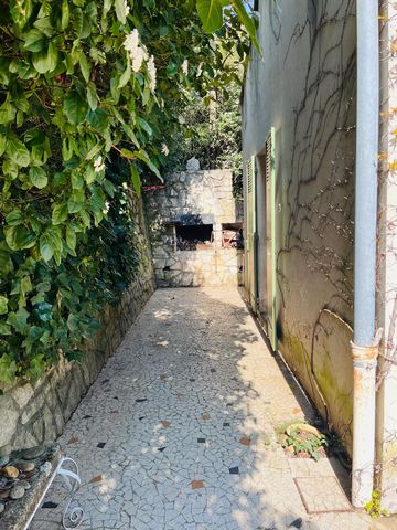 photo no. 19