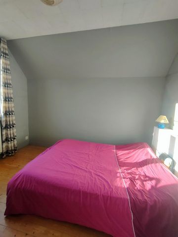 photo no. 7