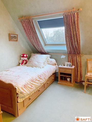 photo no. 11